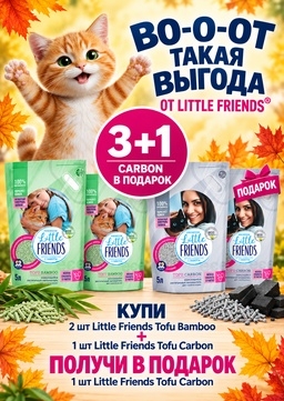 3+1