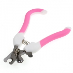 i.catalog_items_name