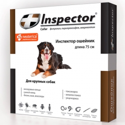 i.catalog_items_name