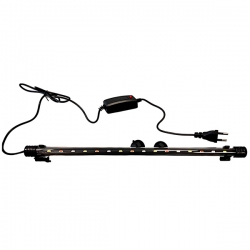 i.catalog_items_name